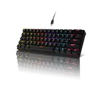 Bangsanth Clavier mécanique de jeu mécanique à 60 % avec commutateurs bleus et rétroéclairage dynamique à 19 modes - Plug and Play, 61 touches, anti-ghosting, pour PC, Windows, Mac, joueur, bureau