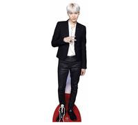 Bangtan Boys BTS Figurine en carton Min Yoon-gi Suga