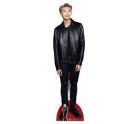 Bangtan Boys BTS Représentant en carton Kim Nam-joon RM