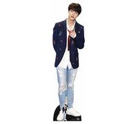Bangtan Boys - Kim Seok-jin - Jin - BTS - Présentoir en carton - 48x179 cm