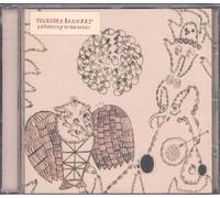 Devendra Banhart - Rejoicing in The Hands