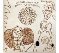 Banhart, Devendra - Rejoicing in The Hands [Import]
