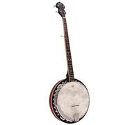 Banjo à 5 cordes Barnes & Mullins modèle BJ300