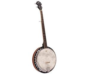 Banjo à 5 cordes Barnes & Mullins modèle BJ300