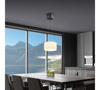 BANKAMP Grand Suspension LED à 1 source lumineuse, 2258/1-39,