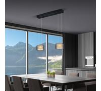 BANKAMP GRAND GROOVE Suspension LED, 2 sources lumineuses, avec fonctionnalité Dim-To-Warm, 2244/2-06,