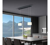 BANKAMP Grand Suspension LED à 2 sources lumineuses, 2260/2-39,