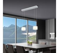 BANKAMP GRAND CLEAR Suspension LED, 2 sources lumineuses, avec fonctionnalité Dim-To-Warm, 2297/2-36,