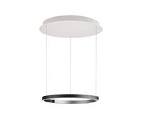 BANKAMP Ring Suspension LED, F2342109,