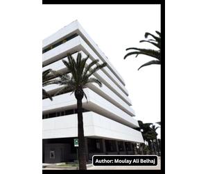 Banking System and FinTech Deployment (Morocco) (2018-2025): The Moroccan Banking System and FinTech Deployment (2018-2025): A Systematic Literature ... Modernization and SME Financial Inclusion