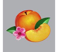 Phoenix – Bankrupt! – CD – Neuf