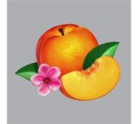 Phoenix – Bankrupt! – CD – Neuf