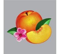 Phoenix – Bankrupt! – CD – Édition Deluxe