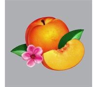Phoenix – Bankrupt! – Vinyle – Integral