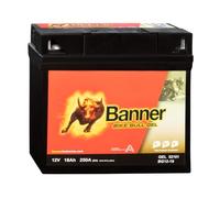 BANNER 521 01 GEL Batterie Moto Bike Bull Gel