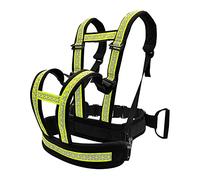 BANNESE Harnais De Sécurité Moto Enfant, Ceinture Moto Passager avec Hauteur Et Tour De Taille Réglables, Conception À Double Poignée, Conception À Bande Réfléchissante,Dark Green