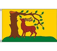 Bannière Berkshire, Nouveau Comté De Berks, Angleterre 2 Œillets Drapeau Double Face Imperméable Drapeau Grand Pour Maison Événements Sportifs Balcon 90X150Cm