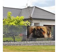 Bannière de bienvenue pour fête de vacances - Jolie bannière pékinoise à suspendre au mur - Pour photographie - Toile de fond avec 4 trous - Décoration de porte - Fournitures de fête - Petite taille