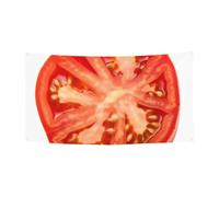 Bannière de bienvenue pour photographie - Bannière de fond - Tranche de tomate - Accessoires photo pour clôture, anniversaire, jardin, fête, faveurs, décoration murale, drapeau de 177,8 x 88,9 cm