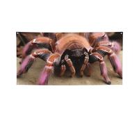 Bannière de bienvenue pour photographie - Grand panneau de tarentule rose mexicaine - Accessoires photo pour clôture, anniversaire, jardin - Fournitures de fête - Décoration murale - 180 x 89 cm