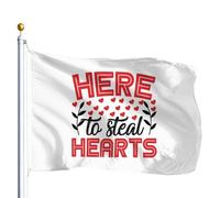 Bannière De Cour Ici Pour Conquérir Les Cœurs Bannière Décorative Robustes Drapeaux Décoratifs D'Extérieur Couleurs Éclatantes Drapeau De Jardin Pour Patio Club Chambre 90X150Cm