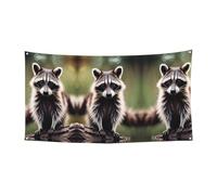 Bannière de fête à suspendre avec motif raton laveur mignon pour anniversaire, Noël, Halloween