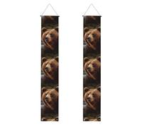 Bannière de porche grizzly Bear à suspendre pour porte « Happy Birthday » - Bannière de fête - Fond photo - Panneaux de porte d'entrée pour fête de bienvenue - Décoration intérieure et extérieure