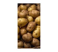 Bannière de protection de porte de jardin avec pommes de terre 90 x 180 cm, bannière de bienvenue saisonnière, décoration verticale à suspendre pour porche, entrée, décoration de jardin
