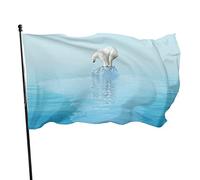 Bannière de sports de plein air en polyester résistant à la décoloration avec 2 œillets en laiton - 91 x 152 cm - Ours polaire sur un iceberg