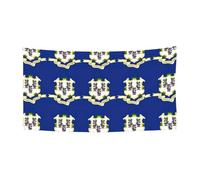 Bannière de vacances de carnaval imprimée drapeau de l'État du Connecticut, décoration de fête en plein air pour rassemblements festifs à suspendre, toile de fond pour jardin