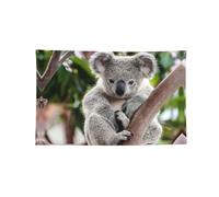 Bannière décorative à quatre trous avec imprimé koala mignon - Pour intérieur et extérieur - Décoration amusante - Cadeau idéal