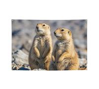 Bannière d'intérieur et d'extérieur personnalisée avec deux chiens de prairie - Panneaux de fête réutilisables - Panneau vierge en polyester 300D - Bannière de décoration pour fête