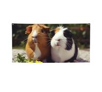 Bannière et panneau amusants de cochons d'Inde personnalisés pour décoration murale intérieure et extérieure avec œillets - Poster pour événement, fête d'anniversaire