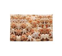 Bannière imprimée coquillages et étoiles de mer pour décoration d'intérieur, fête d'anniversaire, cour, décoration extérieure drapeau multi-tailles