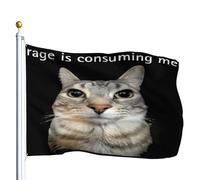 Bannière La Rage Me Consume - Mème Drôle Et Idiot Du Chat Qui Fixe Du Regard Léger Grande Drapeau Résistant Aux Intempérie Bannière Pour Jardin Supporters Élection 90X150Cm