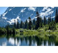 Bannière Lac de Snow Mountain, arbre aquatique, nature, arbres, paysage