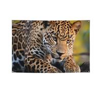 Bannière léopard africaine pour décoration de fête, anniversaire, photographie, arrière-plan, bannières et panneaux, décoration murale, bannière, fournitures de fête, 180 x 119 cm