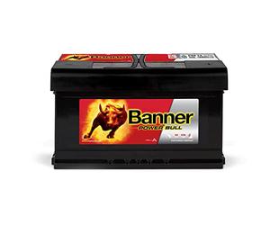 Bannière p8014 Power Bull 110 Calcium déversement et Backfire protégé batterie