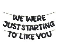 Bannière We Were Just Starting to Like You, Pré-Enfilée Décorations de Fête d'Adieu Bannière à Paillettes pour Adieu Déménagement Nouvel Emploi Drôle Fournitures de Fête de Retraite (Noir)