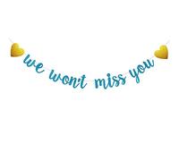 Bannière « We Won't Miss You », pré-enfilée, aucun assemblage nécessaire, décorations de fête amusantes en papier bleu à paillettes pour adieu, sortie, remise de diplôme, changement d'emploi, déménagement, fête de retraite, lettres bleues, ABCpartyland