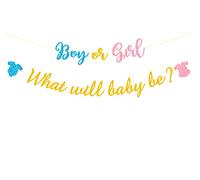 Bannière What Will Be Boy or Girl