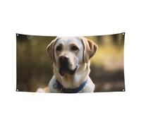 Bannières de bienvenue pour photographie - Bannière de fond labrador - Accessoires photo pour clôture, anniversaire, jardin, fête, faveurs, décoration murale, drapeau 177,8 x 89,9 cm