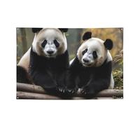 Bannières de bienvenue pour photographie - Bannière de fond pour photographie - Deux grands pandas - Accessoires photo pour clôture, anniversaire, jardin, fête, faveurs, décoration murale, drapeau 180