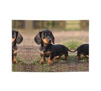 Bannières de vacances et toiles de fond à suspendre pour décorer facilement votre scène de fête