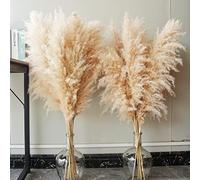 Bannifll 40 Pouces Décoration de Hautes Herbes de Pampas Naturelles avec 10 tiges. Parfait pour Les Mariages, Les fêtes, Les fermes et la décoration bohème à Domicile