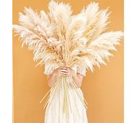 Bannifll 45 Pouces Décoration de Hautes Herbes de Pampas Naturelles avec 10 tiges. Parfait pour Les Mariages, Les fêtes, Les fermes et la décoration bohème à Domicile.