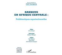 Banques en Afrique centrale : problématiques organisationnelles – L'Harmattan