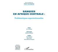 Banques en Afrique centrale : problématiques organisationnelles – L'Harmattan