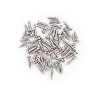 Banworks JT/CKLS-02 Lot de 50 vis de plaque arrière en acier inoxydable pour guitare / basse américaine, Fender Stratocaster, Tele, Jaguar, Jazzmaster, Mustang