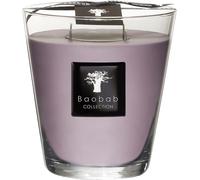 Baobab Collection All-SeasonsBougie parfumée White Rhino Max 16 1000 g